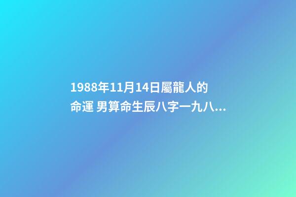 1988年11月14日屬龍人的命運 男算命生辰八字一九八八年十一月十四日中午十二點零五分出生-第1張-觀點-玄機派